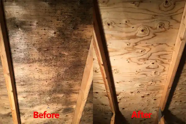 water damage restoration service Rowland